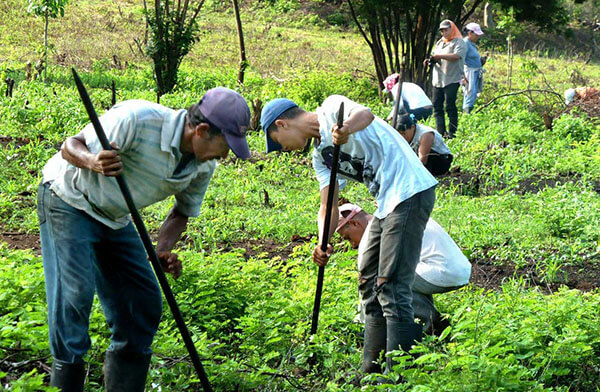 csm_klimaschutzprojekt-nicaragua-7186-1